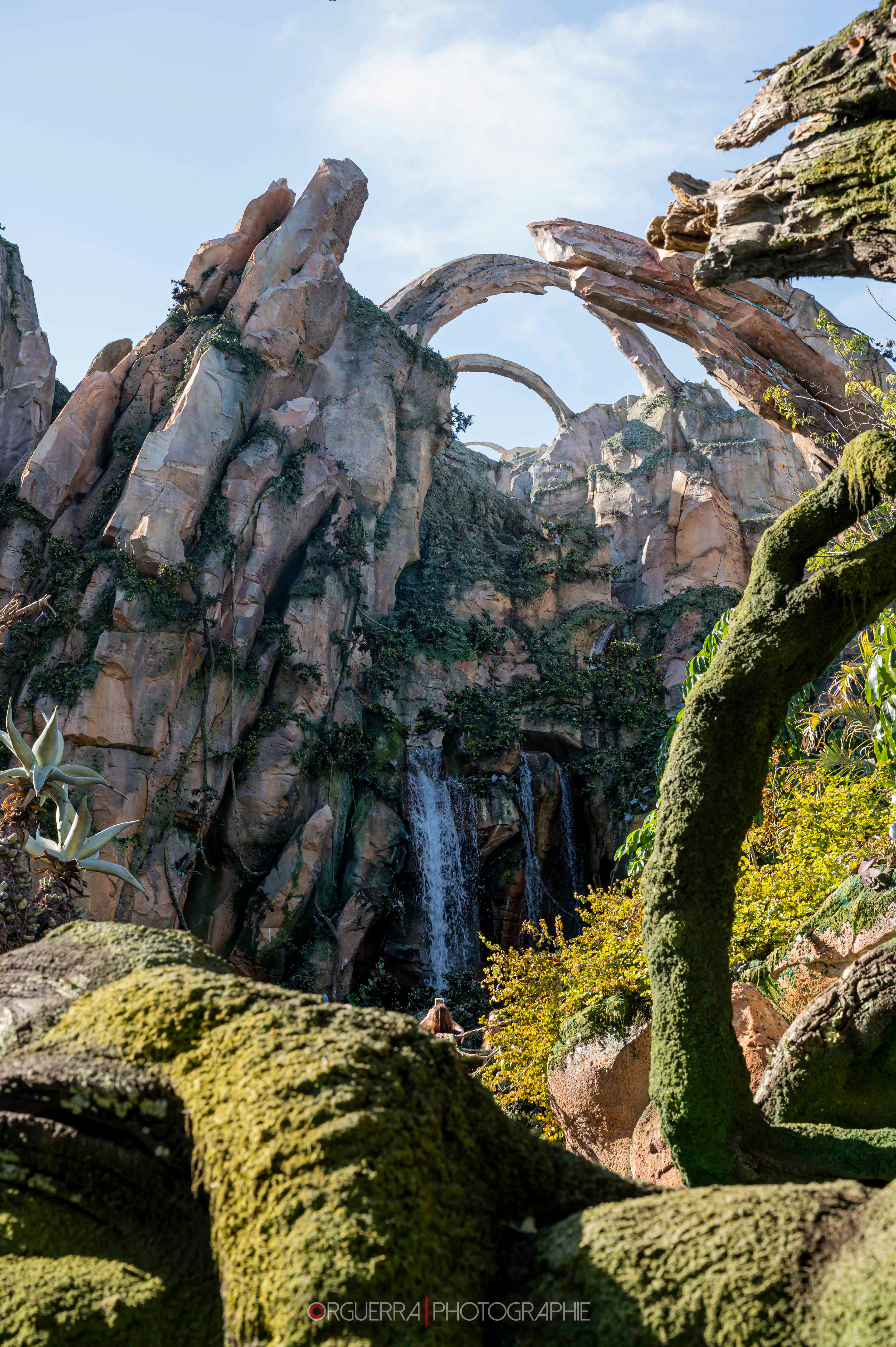 Magic Kingdom | Walt Disney World